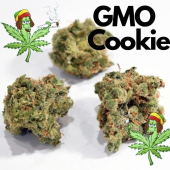 GMO Cookies