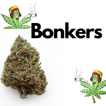 Bonkers 