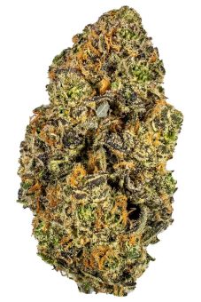 Platinum Blue Dream