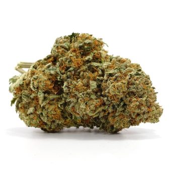 NYC sour diesel 