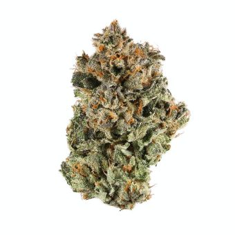 Blue Sherbet