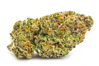 Lemon Meringue 