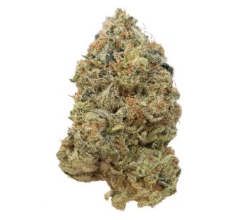 G-13