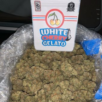 ZA ZA white cherry gelato 