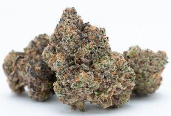 Kush Mints