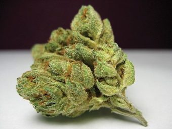 Peanut Butter Breath