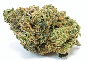 Apple Fritter