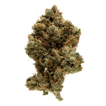 Mazar x Blueberry OG