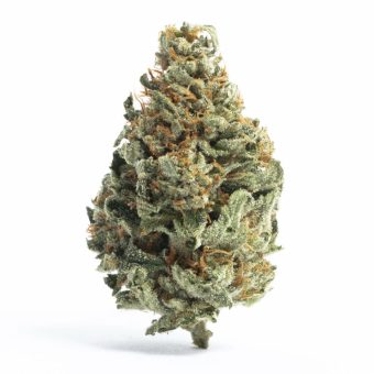 Chocolope