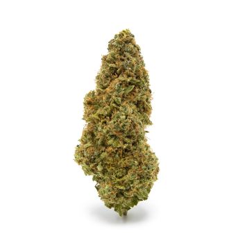 LAMBO OG