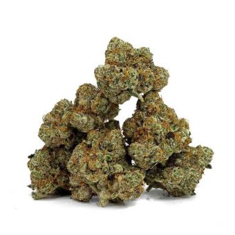 ZOOKIES