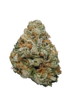 CANDYLAND