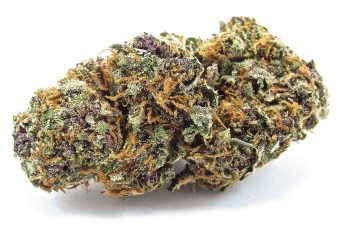 FORBIDDEN FRUIT