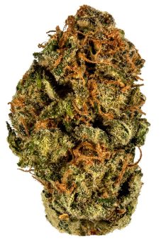 THC Bomb