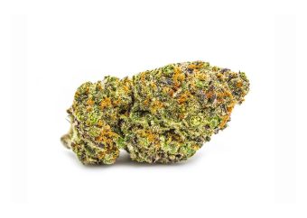 lemon  meringue 