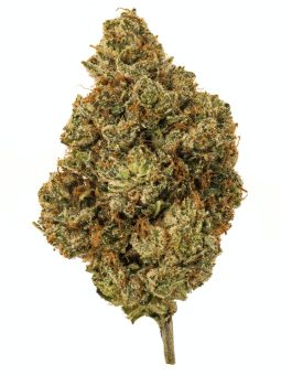 OG