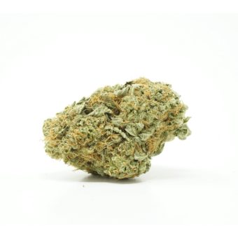 Grapefruit 