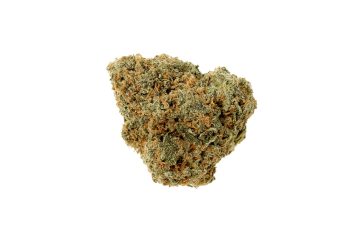 Lemon Skunk