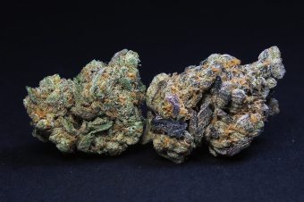 $100.00 Pick Any Two1/8 Exotic Flowers $100