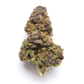 Violeta
