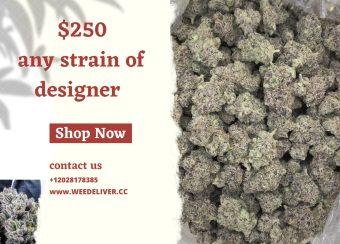 Any Designer 1 Oz for 250$ 