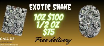 Exotic Shake Deal 