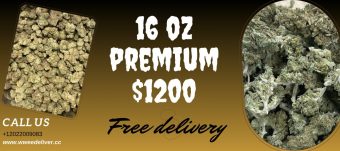 16 oz for $1200 