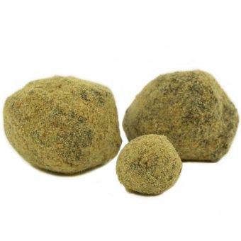 Canna Caui Moon Rocks