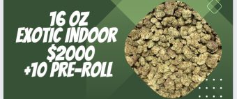 $2000 for 16 Oz of Exotic Indoor Flower 