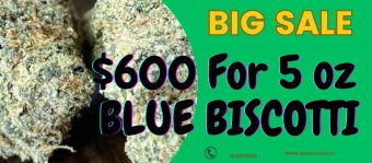 $600 For 5 Oz BLUE BISCOTTI + 2 Designer Preroll