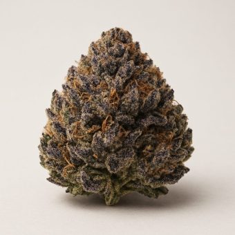 Purple OG Kush