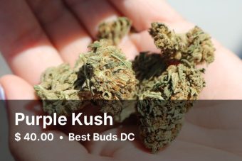 Purple Kush