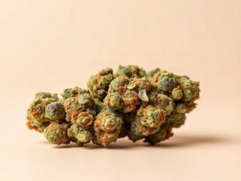 Santa Sativa
