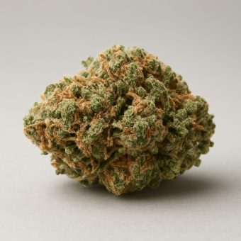 Runtz Strain Guide: A Sweet and Balanced Hybrid