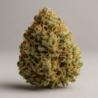 Exploring Lemon Skunk: A Zesty Hybrid Experience