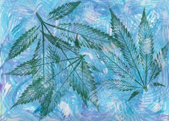 Cake Batter Strain Guide – What to Expect from This Sweet Hybrid