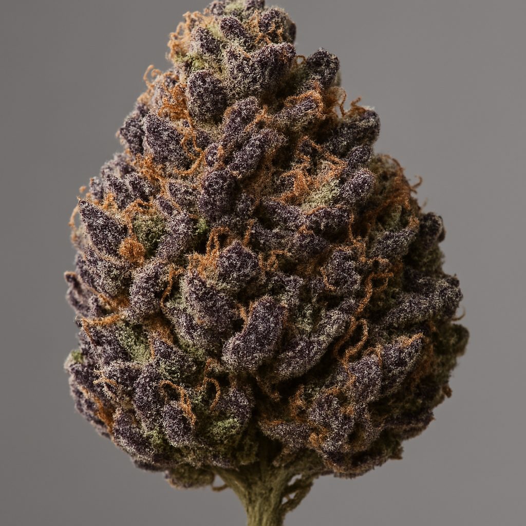 Granddaddy Purple: A Strain Guide