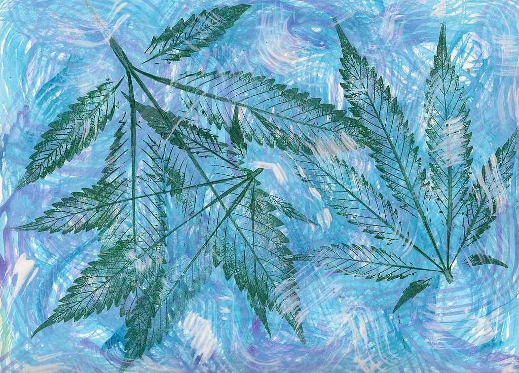 Blueberry – A Classic Berry‑Scented Indica for Evening Unwind