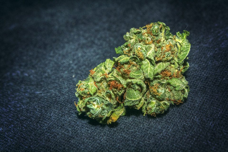 Strain Guide: Green Crack