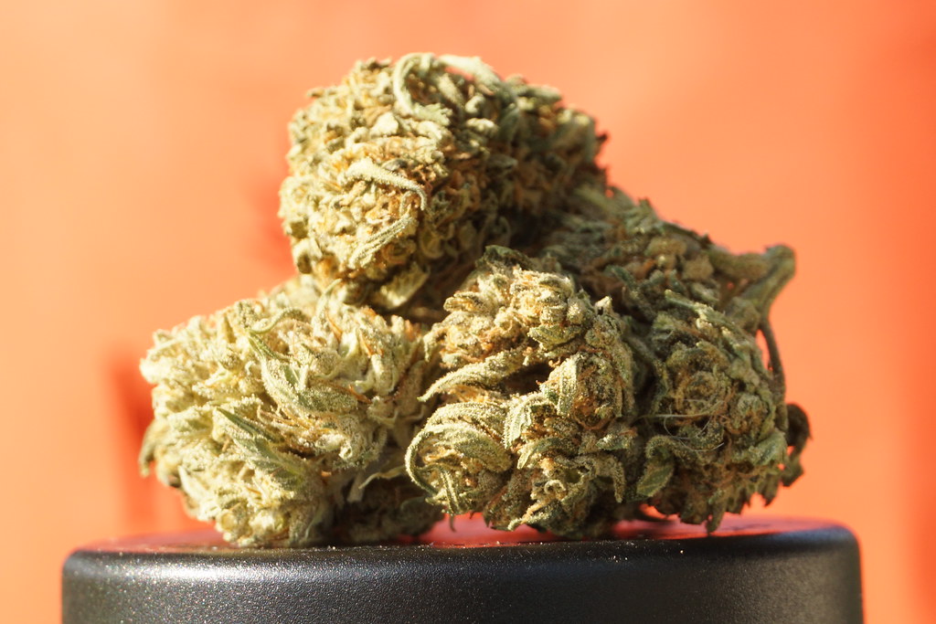 Your First Guide to Cannabis Delivery in Alexandria, VA