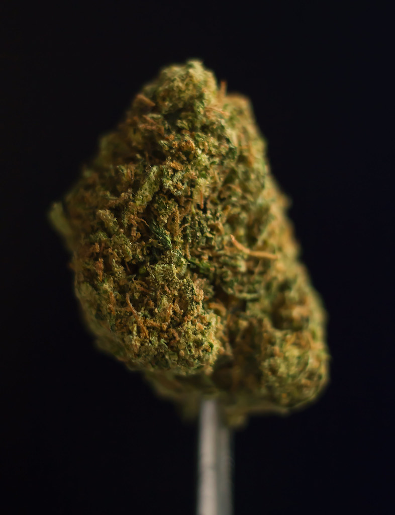 Golden Goat Strain Guide: Aroma, Effects & Evening Use