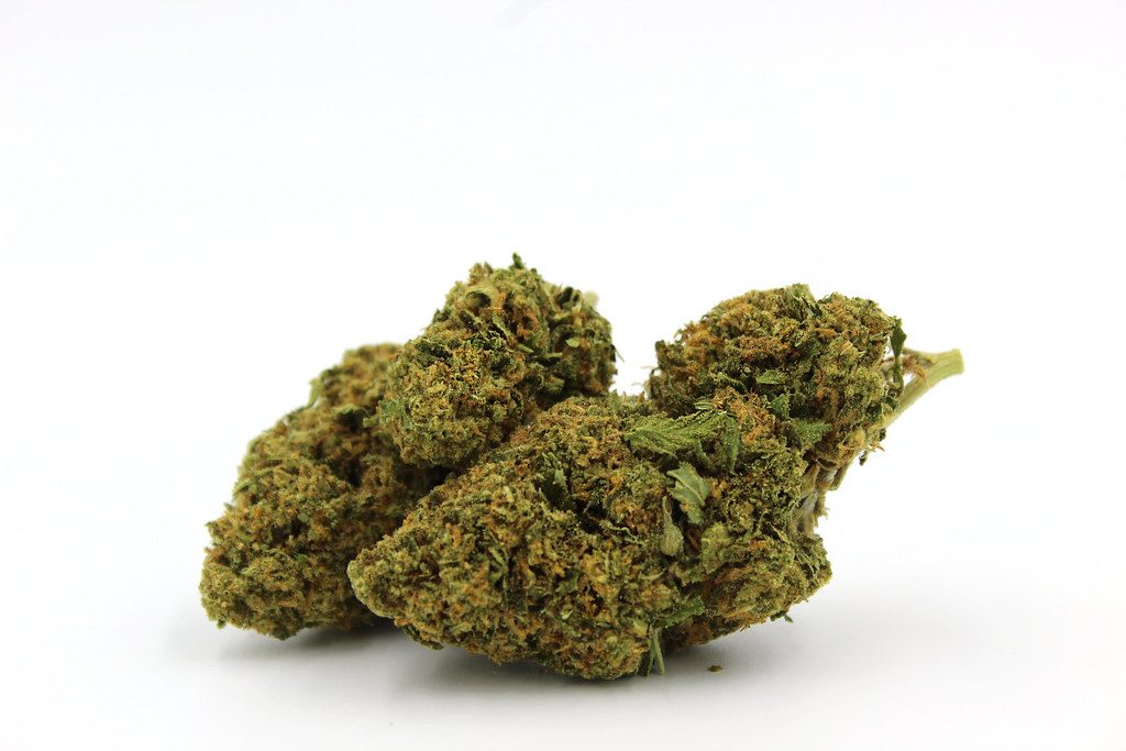 Cherry Pie Strain Guide: A Sweet Escape
