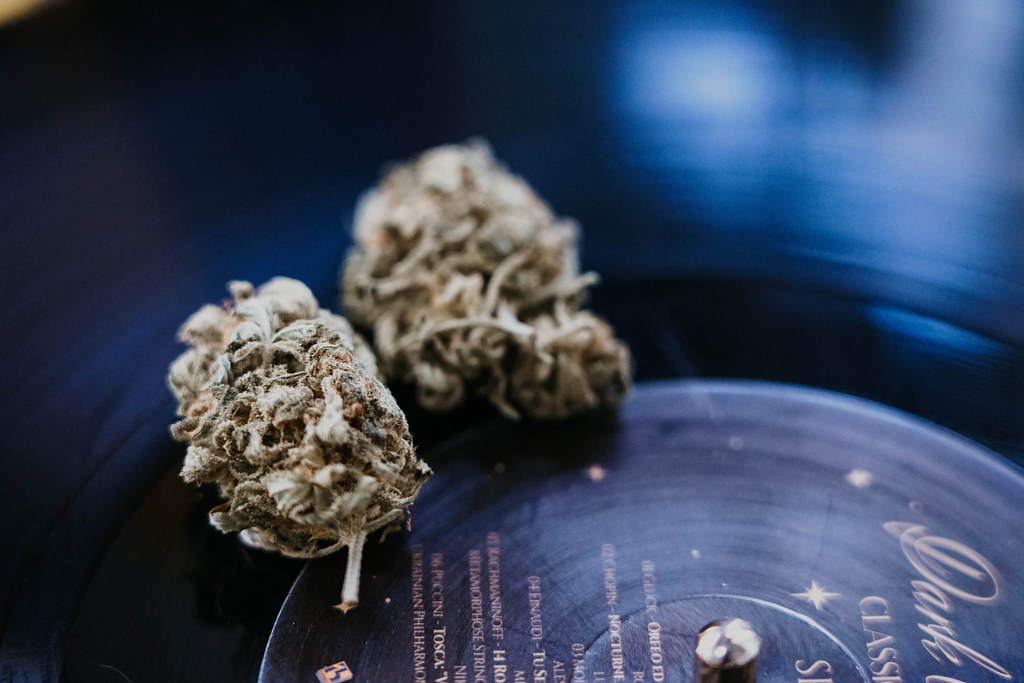 A First‑Timer’s Guide to Cannabis Tinctures