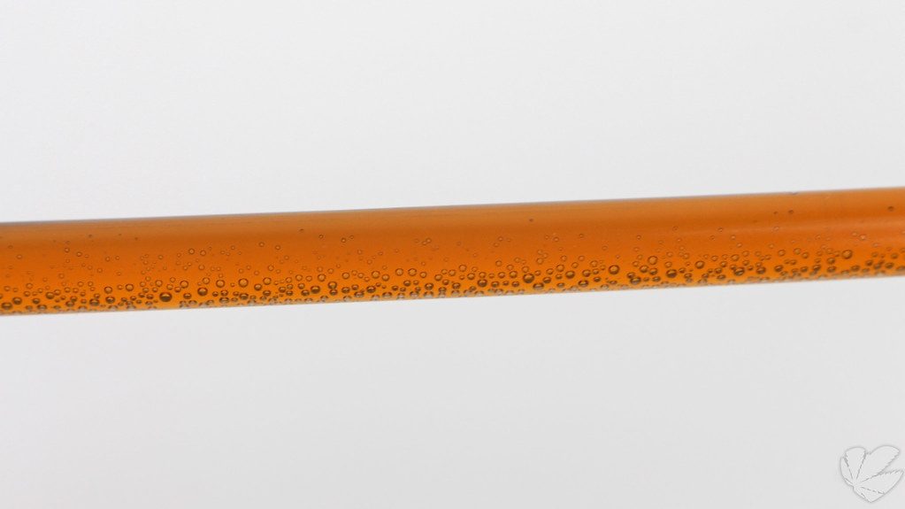 Edibles 101: A First‑Timer’s Buying Guide