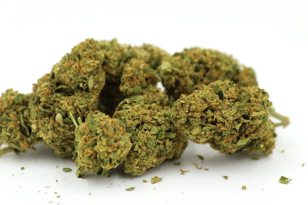 Cherry Pie Strain Guide – What to Expect from This Sweet Hybrid