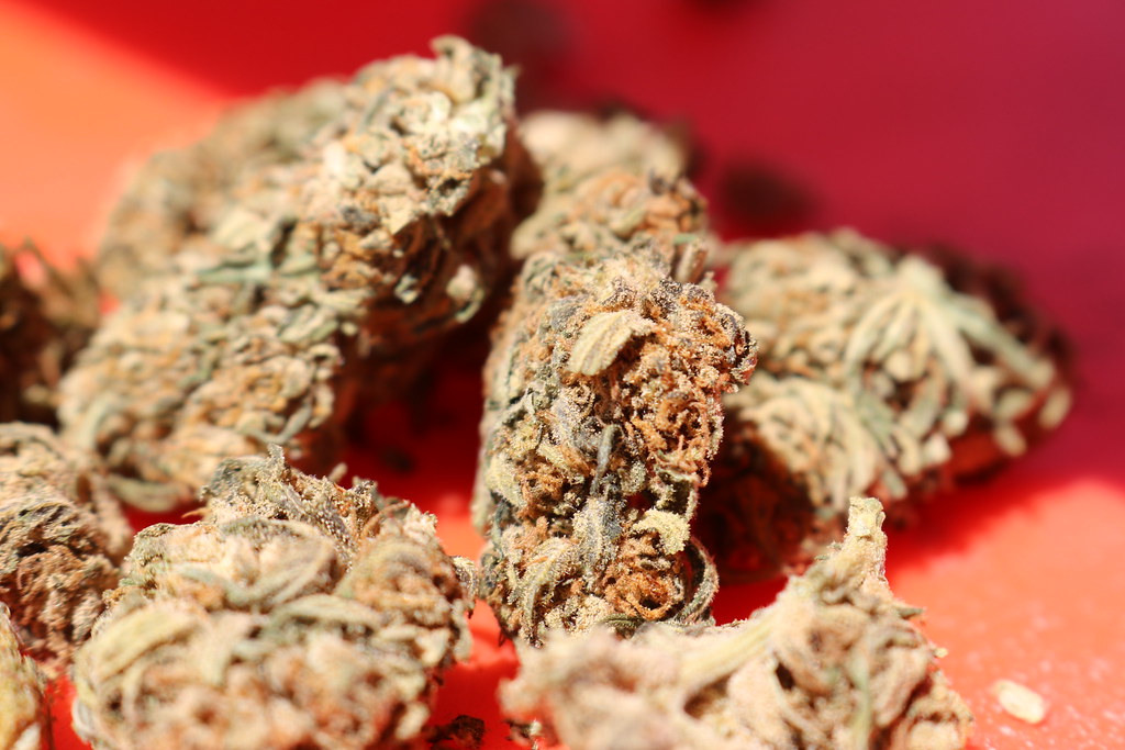 Strawberry Cough – A Sweet, Sociable Sativa