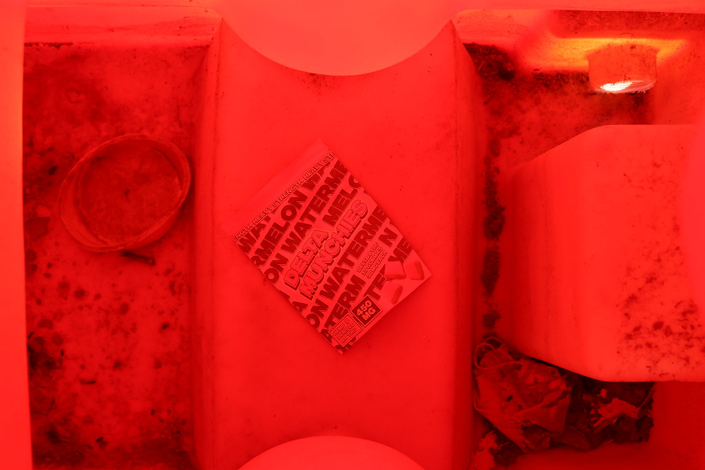 A First‑Time Buyer’s Guide to Cannabis Edibles