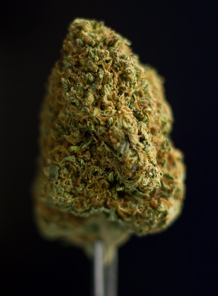 Runtz Strain Guide – Sweet, Euphoric, and Relaxing